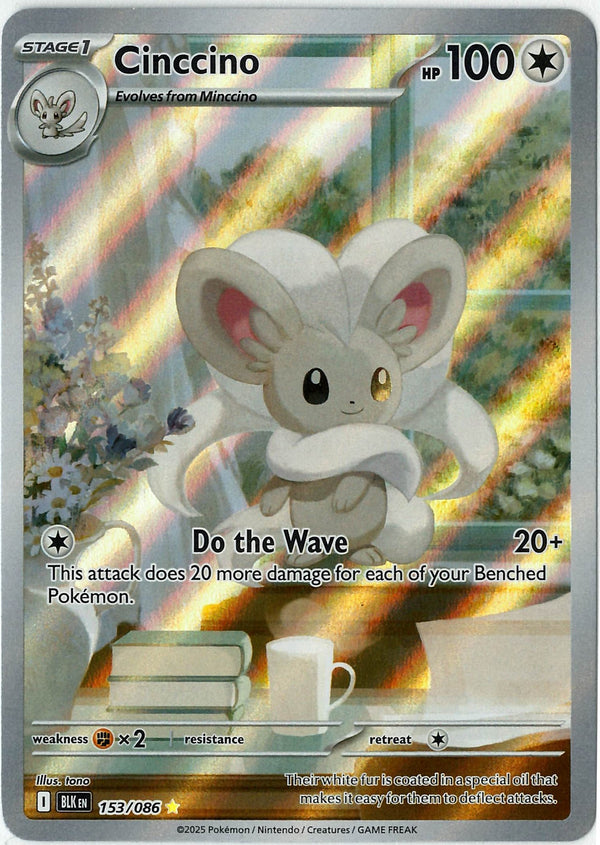 Cinccino (BLK 153)